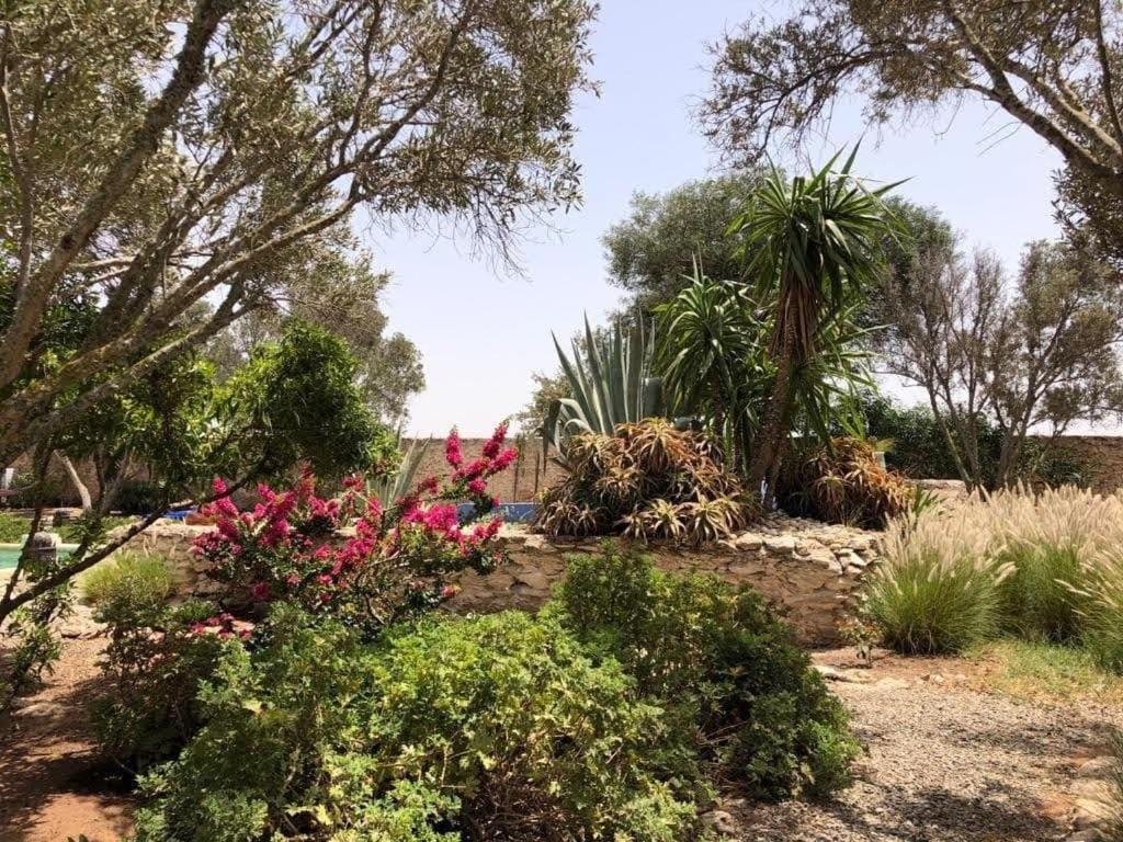 Les Jardins De Silona, Piscine Chauffee Hotel Essaouira Buitenkant foto