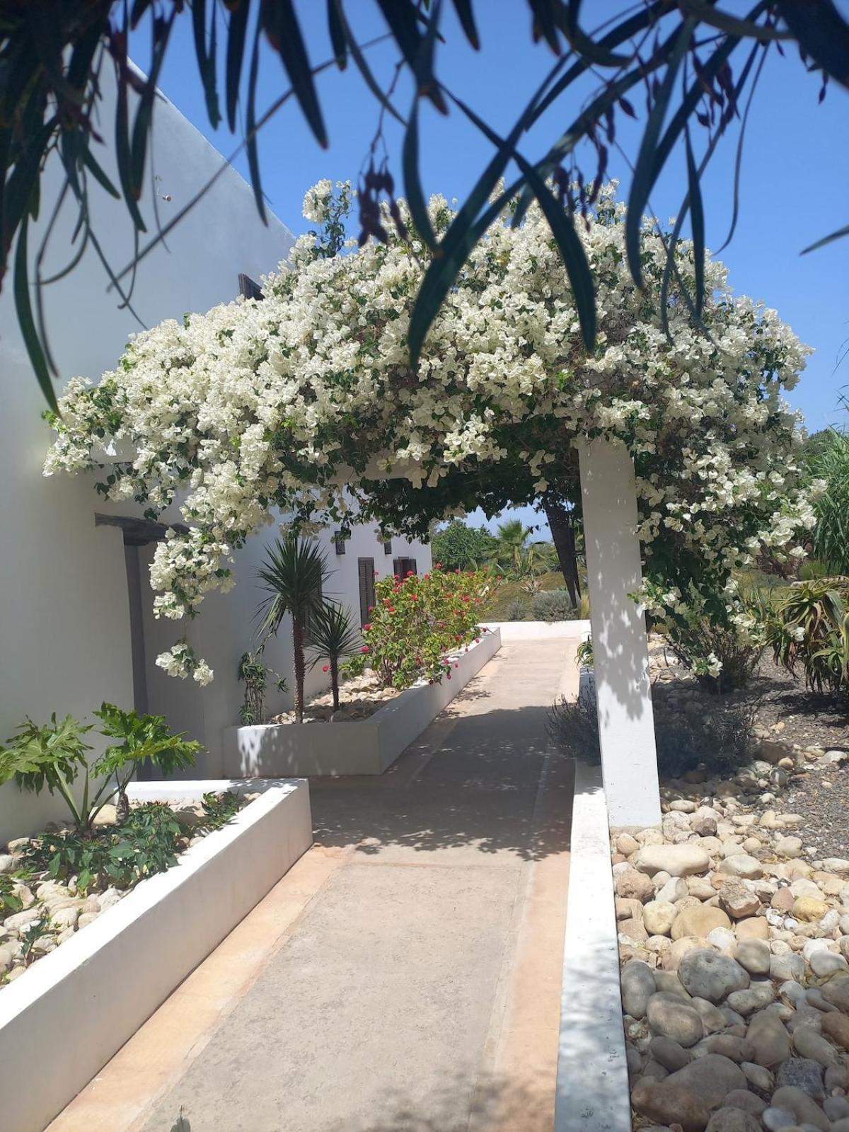 Les Jardins De Silona, Piscine Chauffee Hotel Essaouira Buitenkant foto