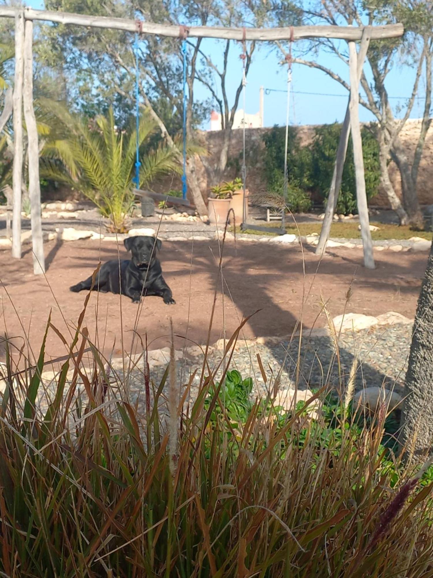 Les Jardins De Silona, Piscine Chauffee Hotel Essaouira Buitenkant foto