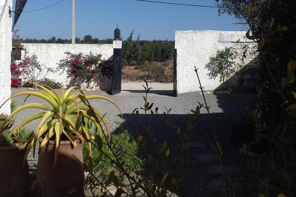 Les Jardins De Silona, Piscine Chauffee Hotel Essaouira Buitenkant foto