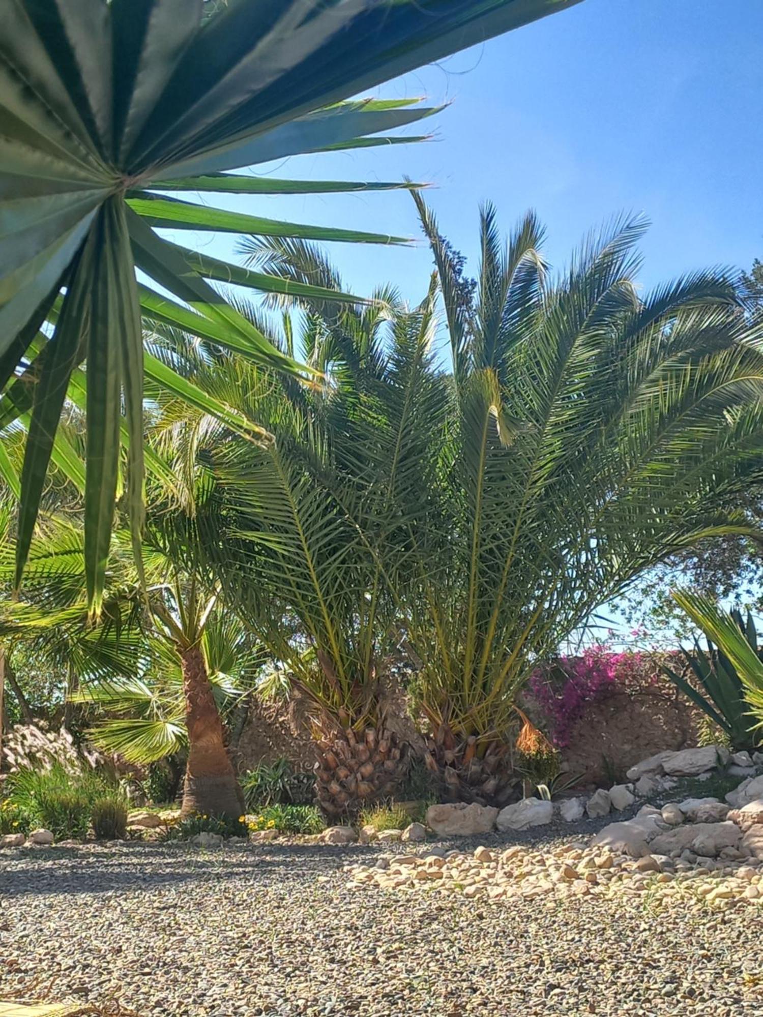 Les Jardins De Silona, Piscine Chauffee Hotel Essaouira Buitenkant foto